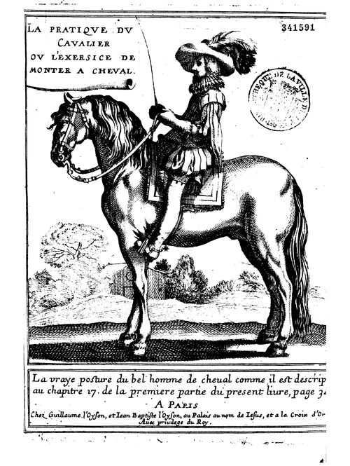 
					René de Menou, La pratique du cavalier, 1651 (BmL, 341591)
				