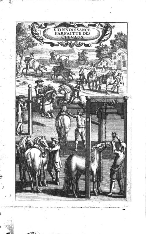 
					Delcampe, La Connoissance parfaite des chevaux, 1741 (BmL, 317276) 
				