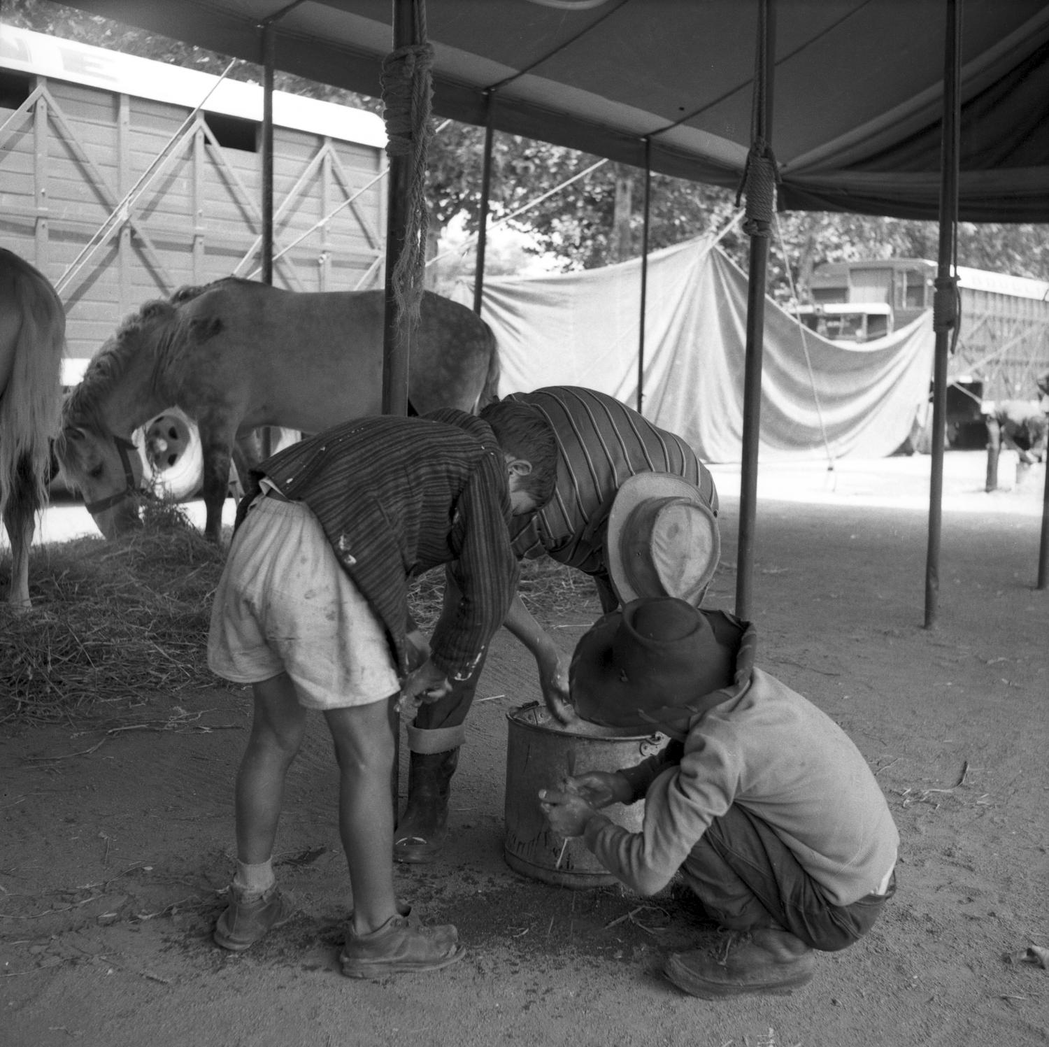 [l'Homme et les deux enfants font la lessive]