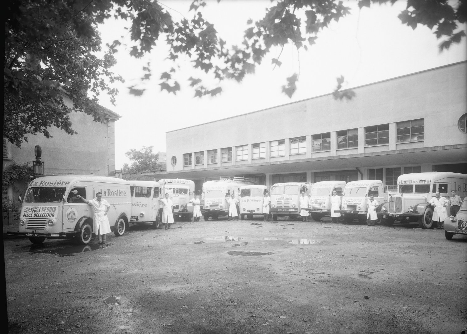 [Laiterie du Sud-Est : camions "La Rosière" pour la caravane du Tour de France (1953)]