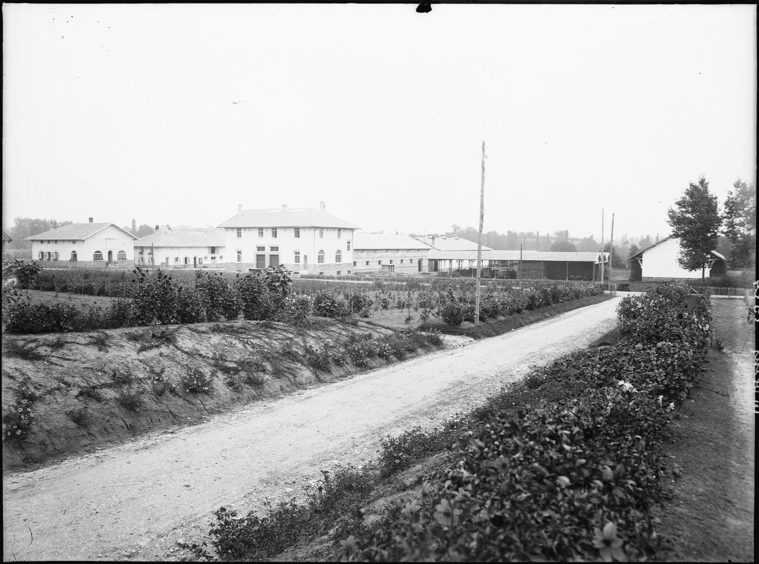 [Ecole d'agriculture de Cibeins : vue d'ensemble sur les bâtiments]