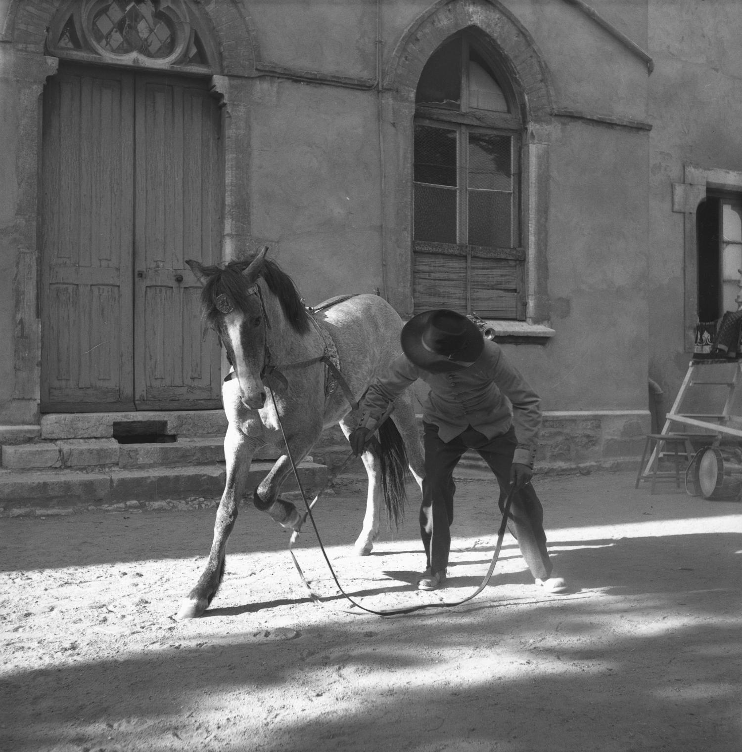 Métiers du cirque : Kostich et le cheval Tarjan