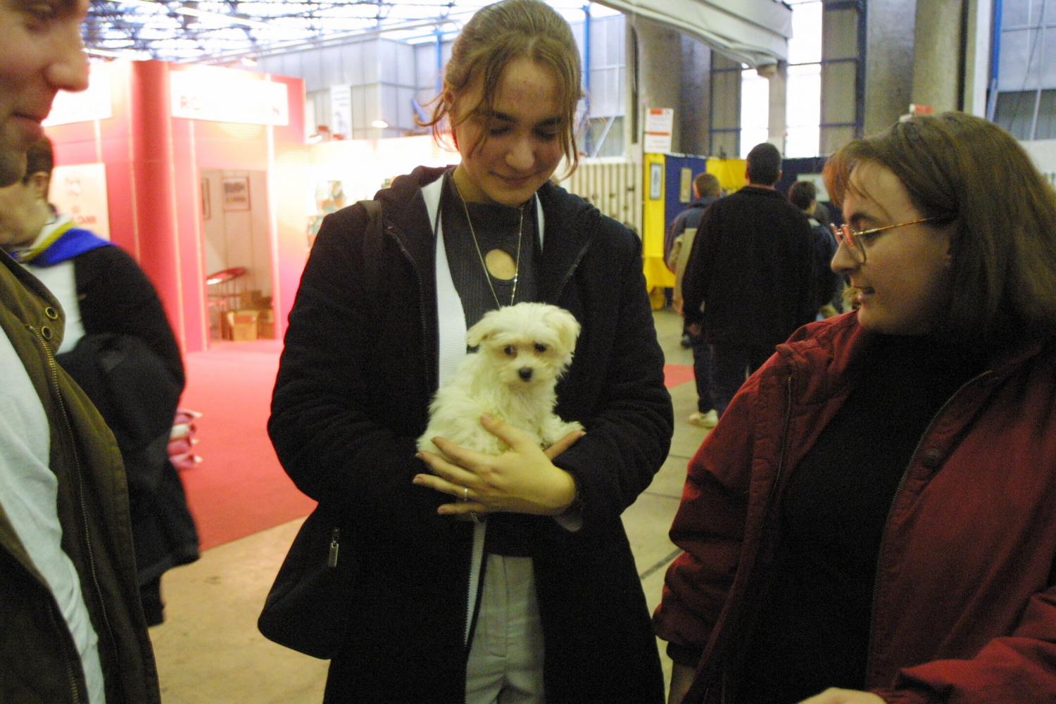 [Espace Double Mixte de la Doua : salon Animalyus, 2001]