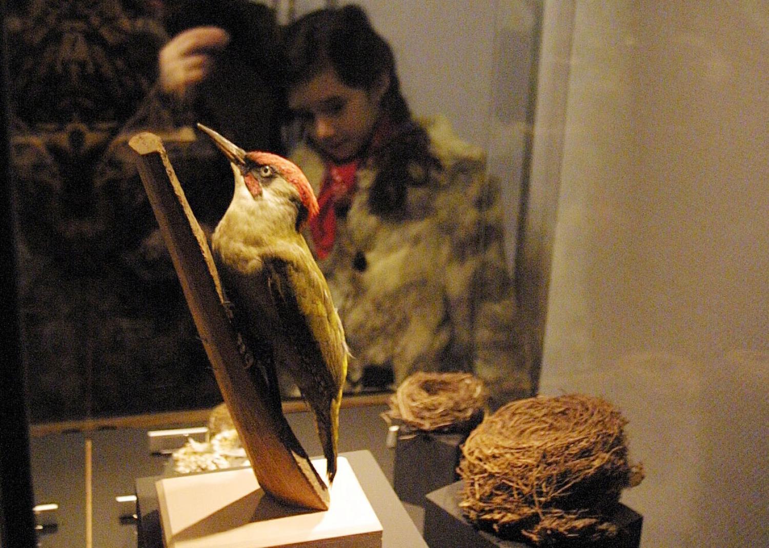 [Château de Lacroix-Laval : exposition "La nature dans tous ses états"]