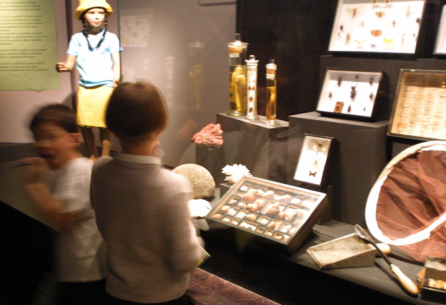 [Château de Lacroix-Laval : exposition "La nature dans tous ses états"]