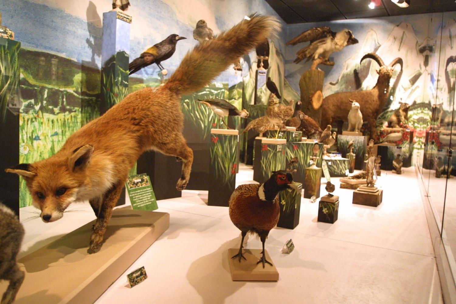 [Château de Lacroix-Laval : exposition "La nature dans tous ses états"]