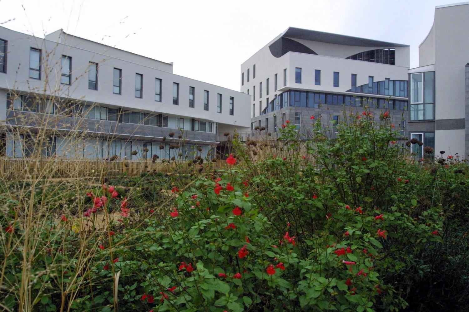 [Jardin de l'Ecole normale supérieure de Lyon (site Descartes)]