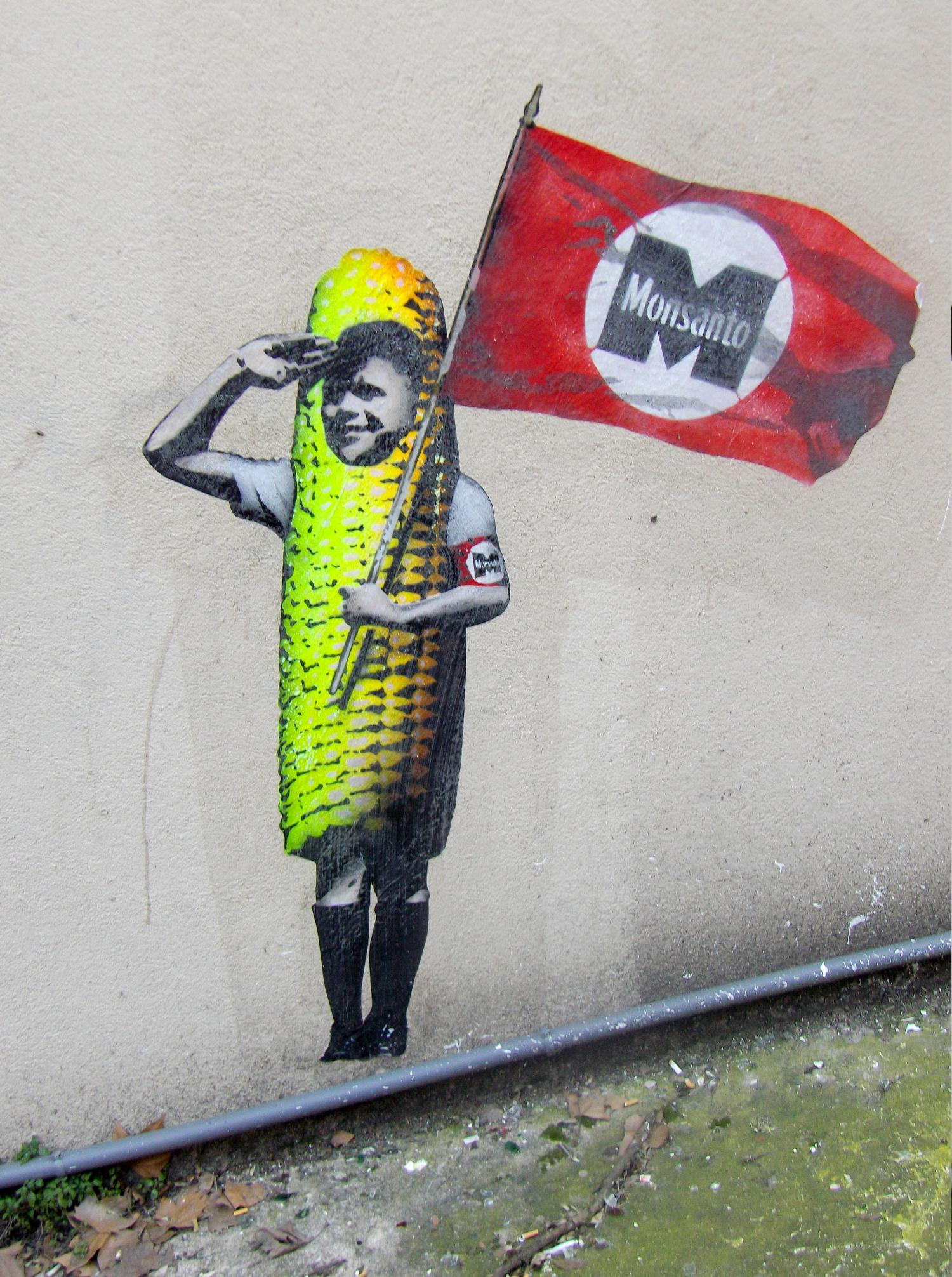 Tag Monsanto, rue du Général Anthelme de Sève