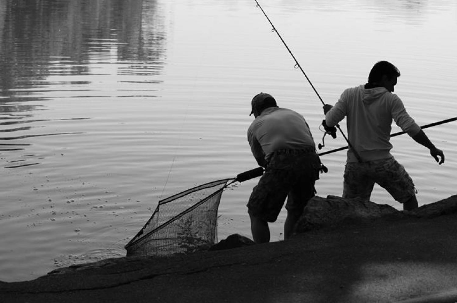 Pêcheurs au parc de la Tête d'Or