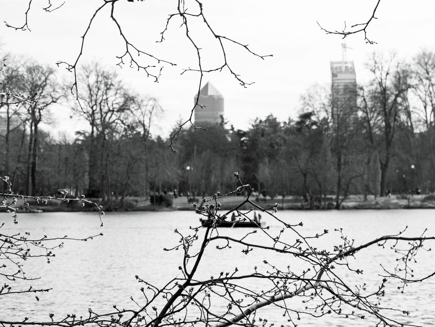 La Skyline, vue du parc de la Tête d'Or