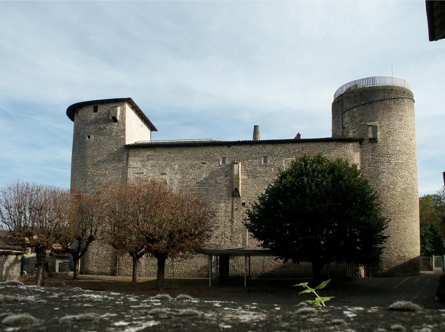 Anse, le Château des Tours, vue générale