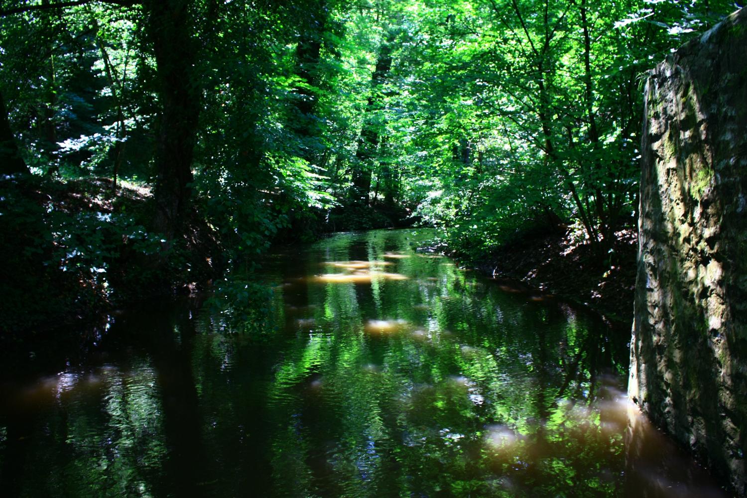 Francheville, vallée de l'Yzeron