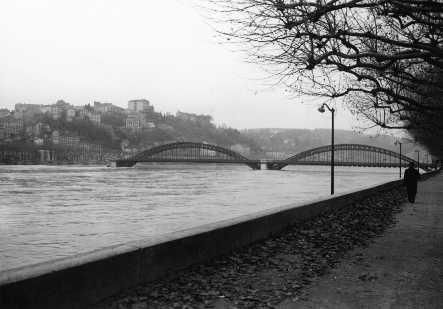 Pont de la Boucle sur le Rhône