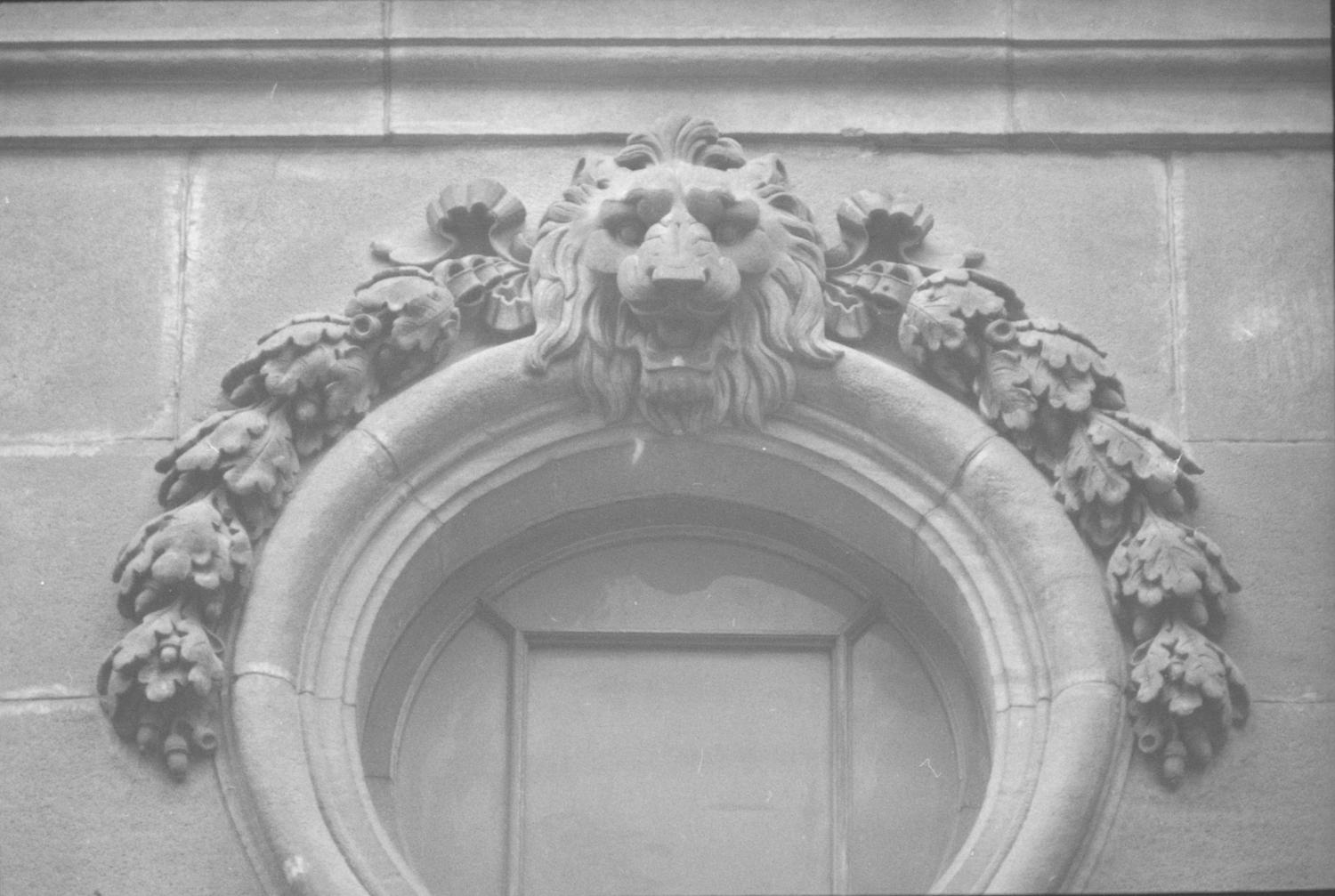 Les Lions de Lyon (sculptures)