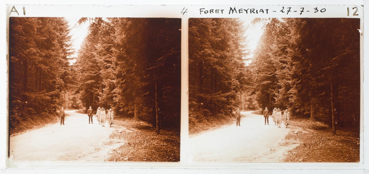 Forêt de Meyriat