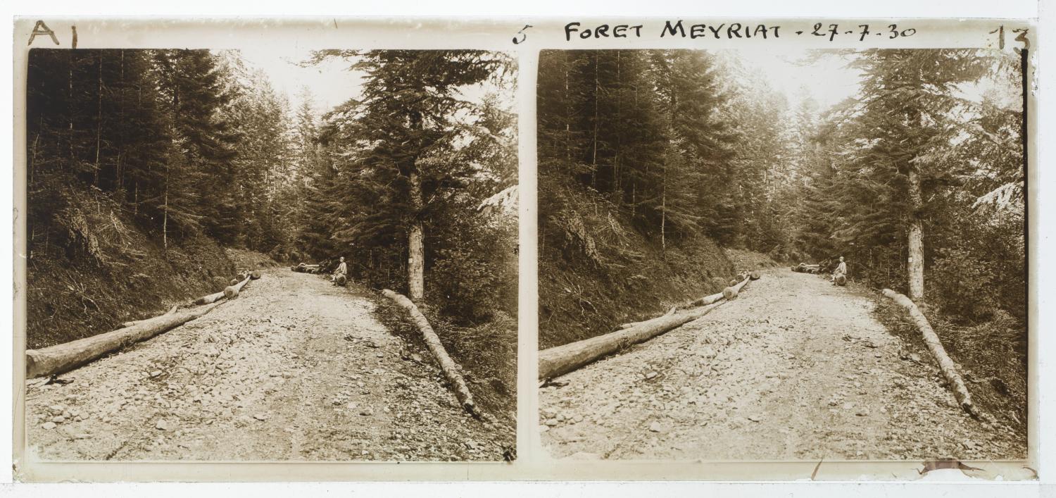 Forêt de Meyriat