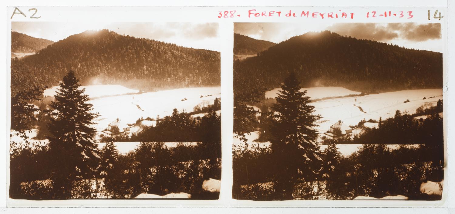 La forêt de Meyriat par temps de neige