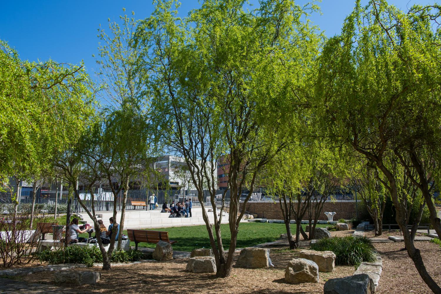 Square Averroès, La Duchère