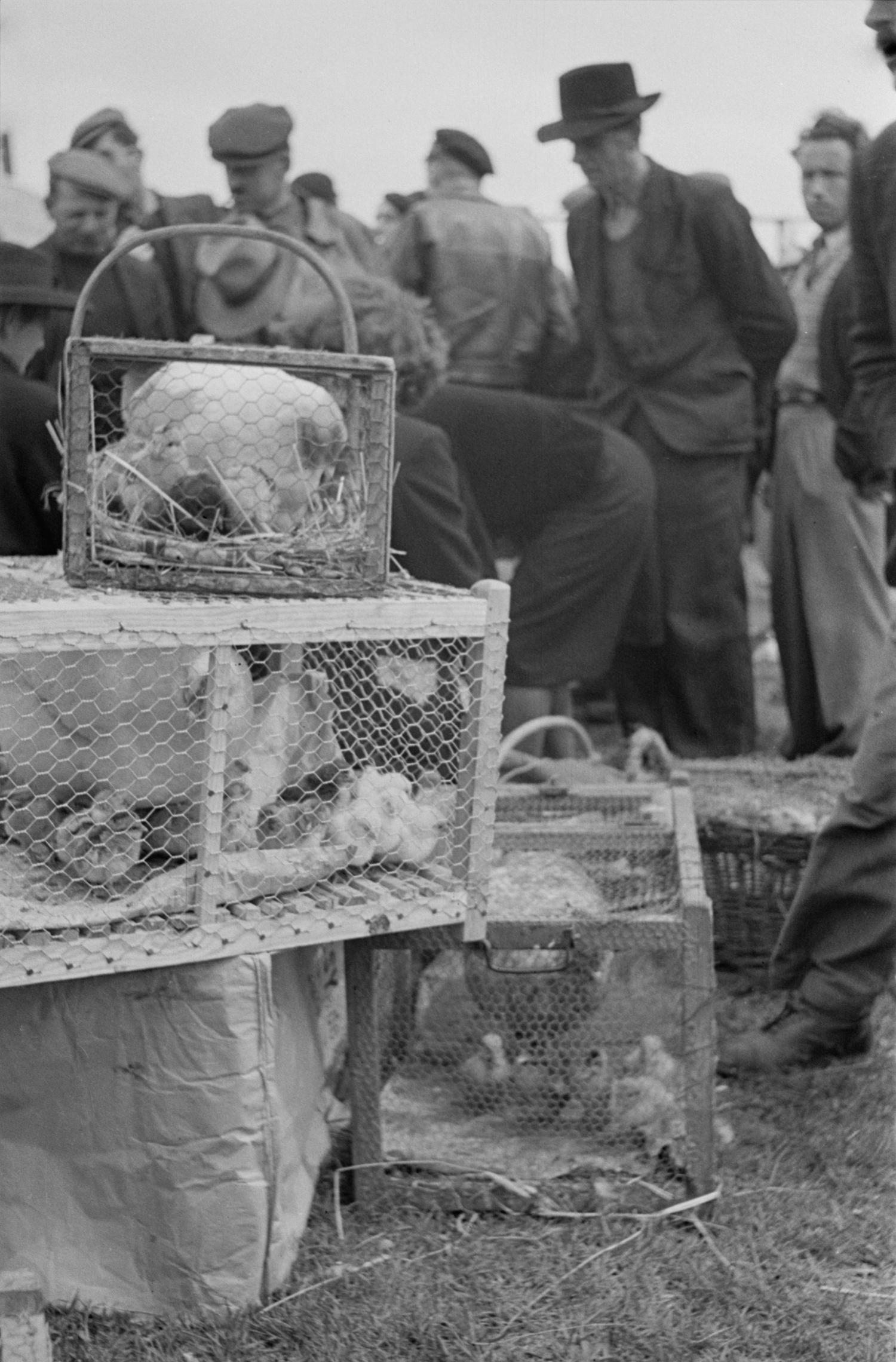 [Foire de Nervieux (1950)]