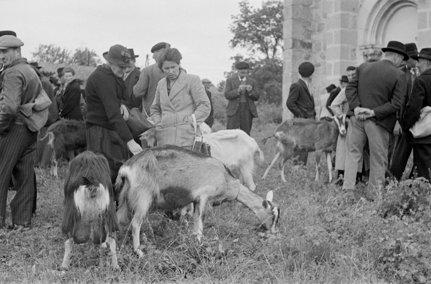 [Foire de Nervieux (1950)]