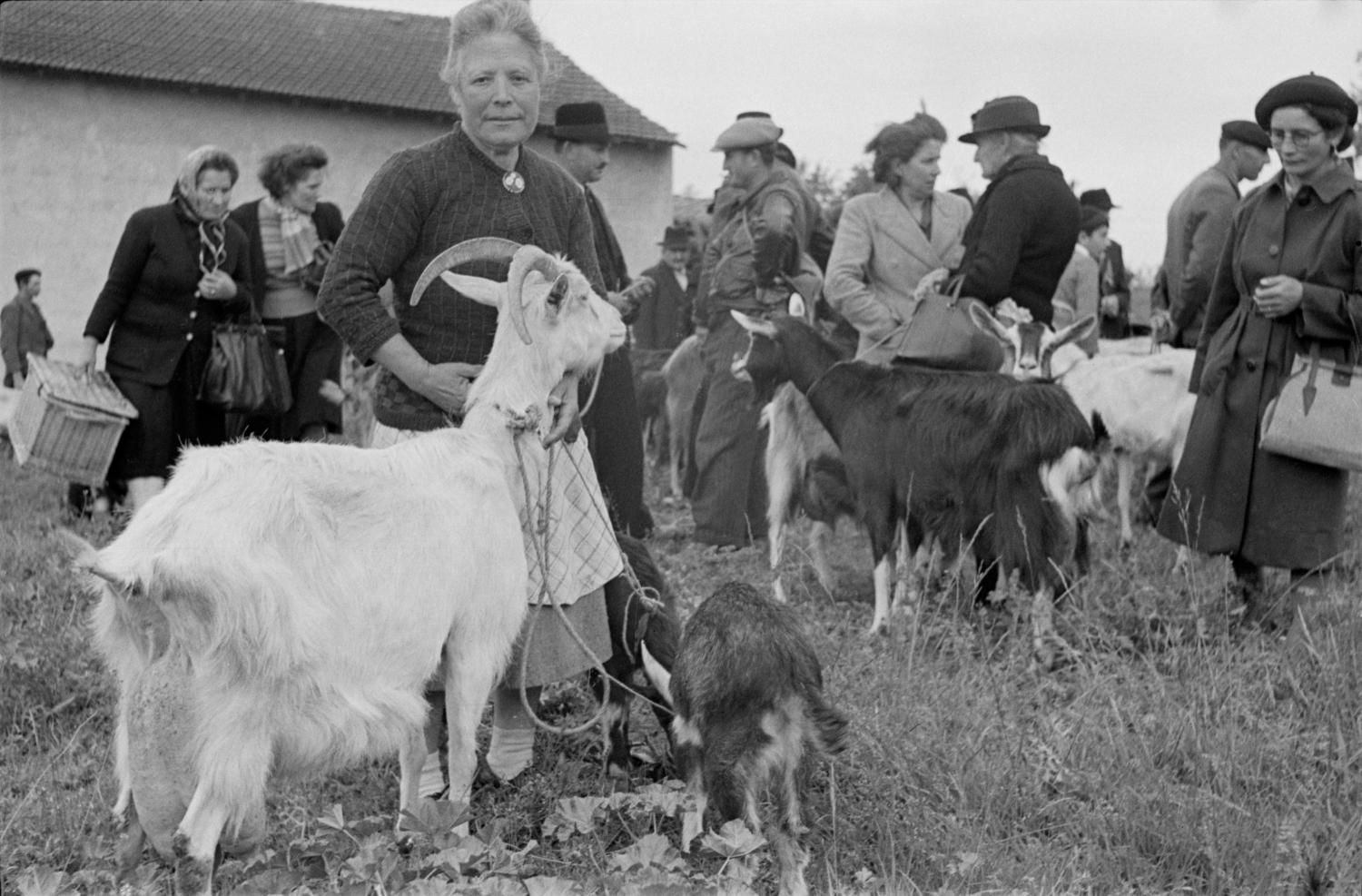 [Foire de Nervieux (1950)]