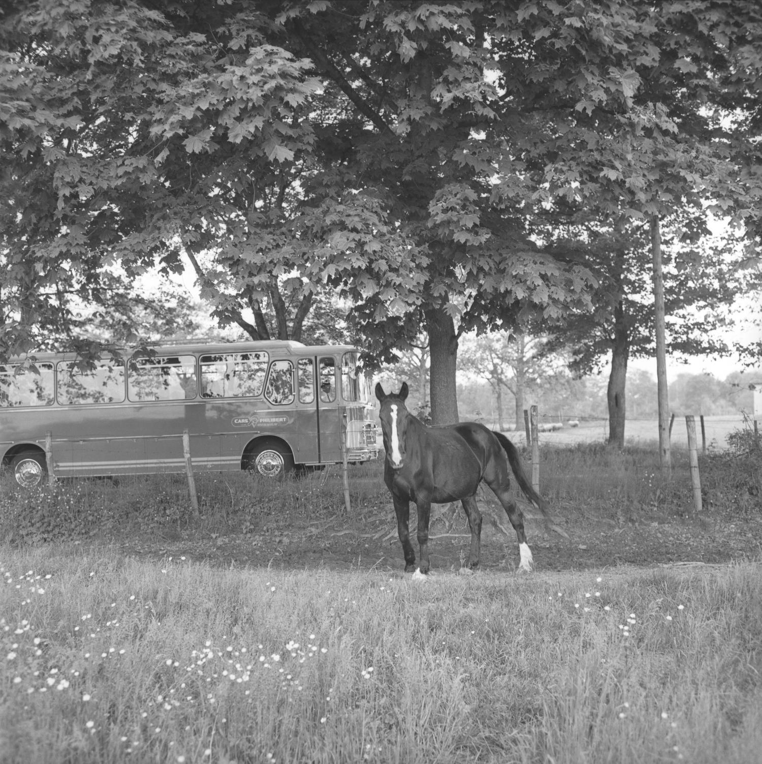 [Cars Philibert : promenade à Pérouges (Ain)]