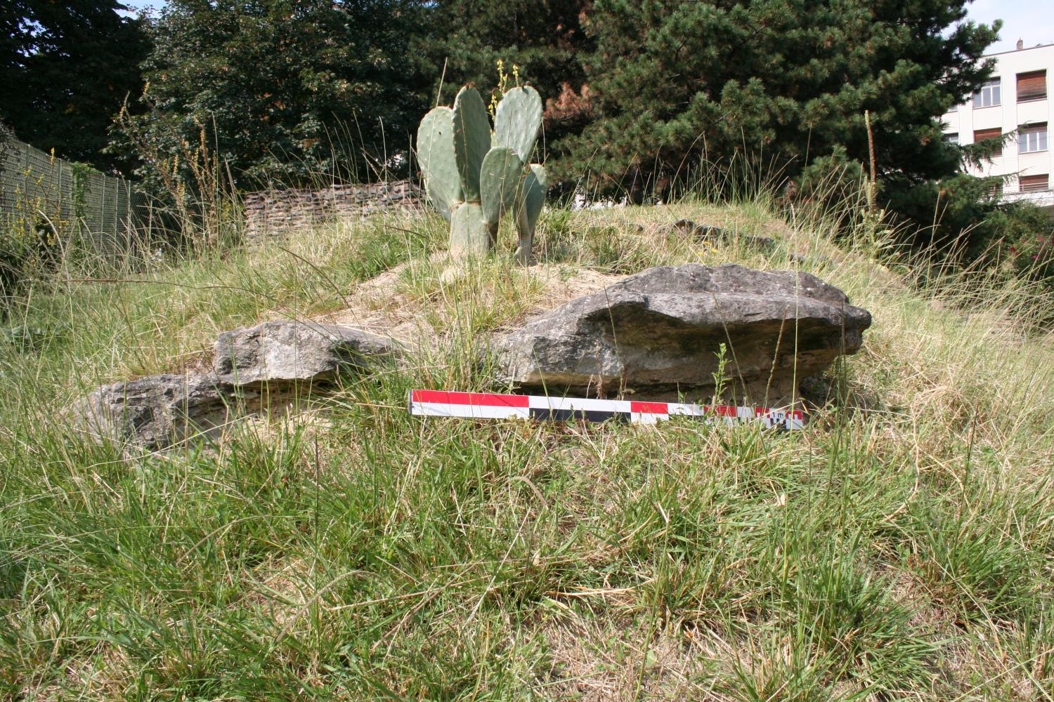 Affleurement de grès