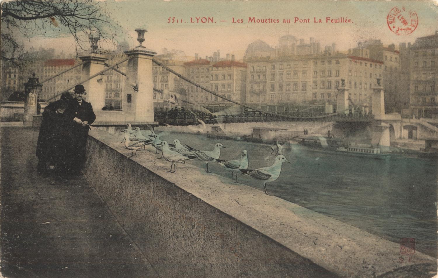 Lyon : Les Mouettes au Pont La Feuillée