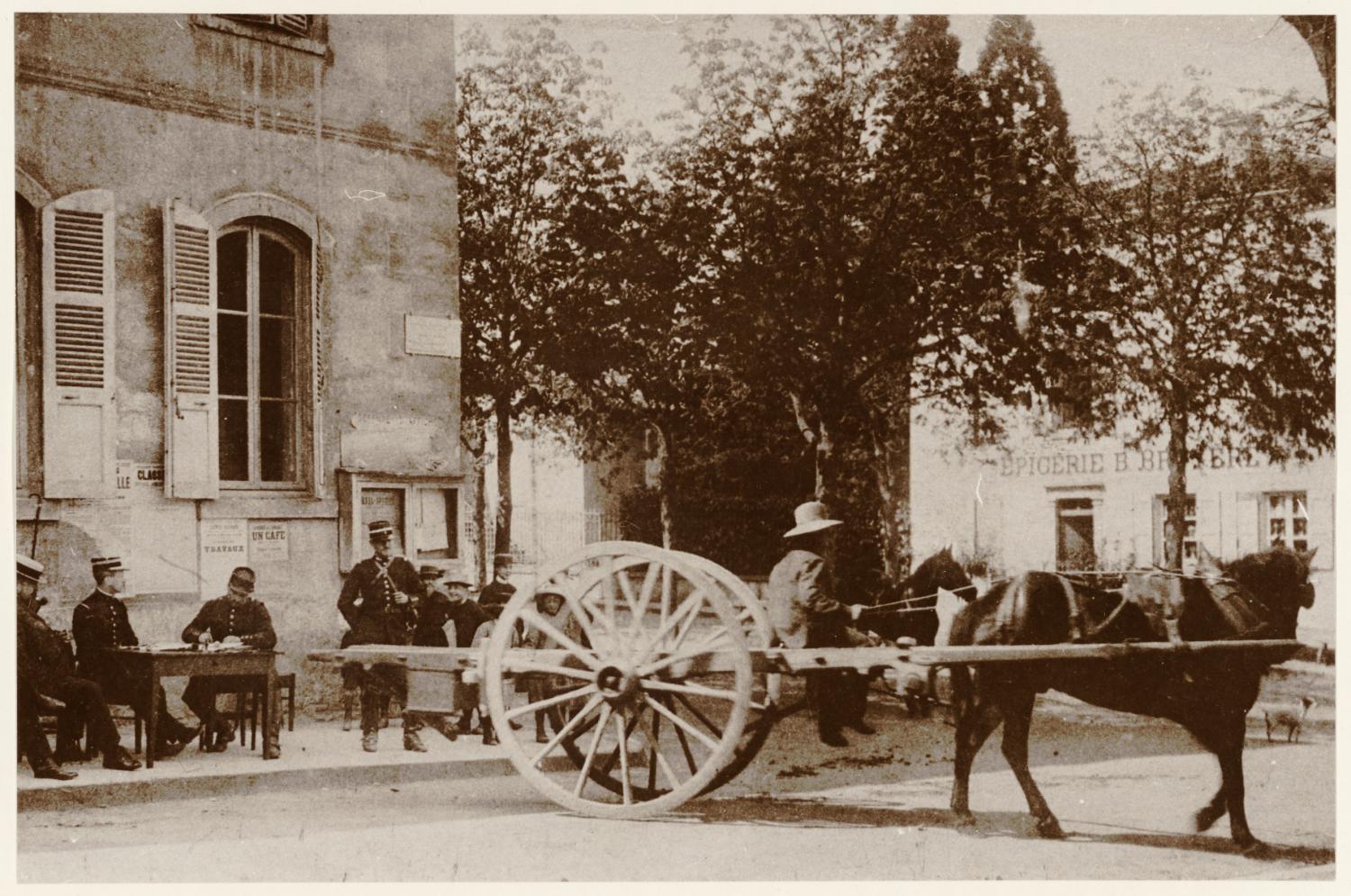 [Le Conseil de révision des chevaux à Denicé (Rhône), au début du XXe siècle]