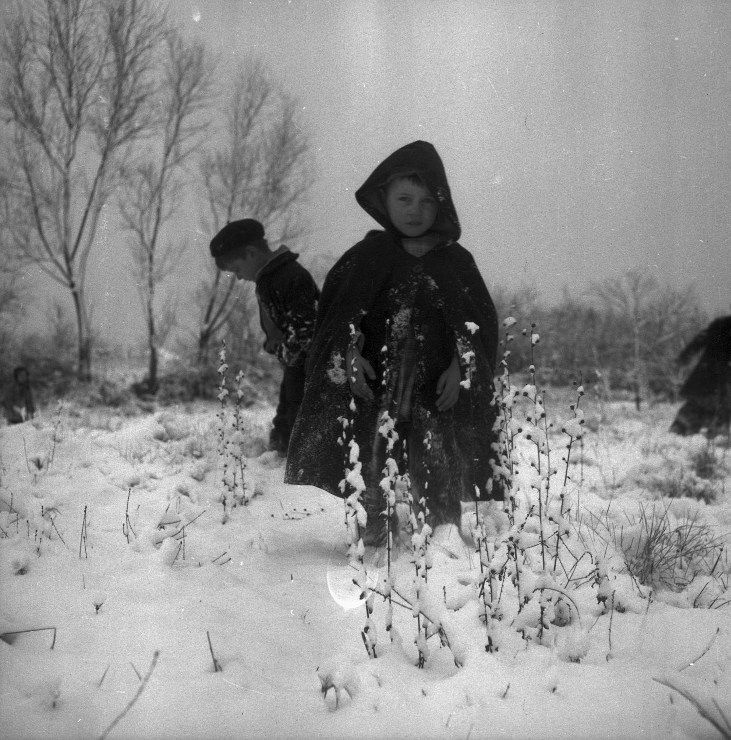 [Des enfants jouent dans la neige]