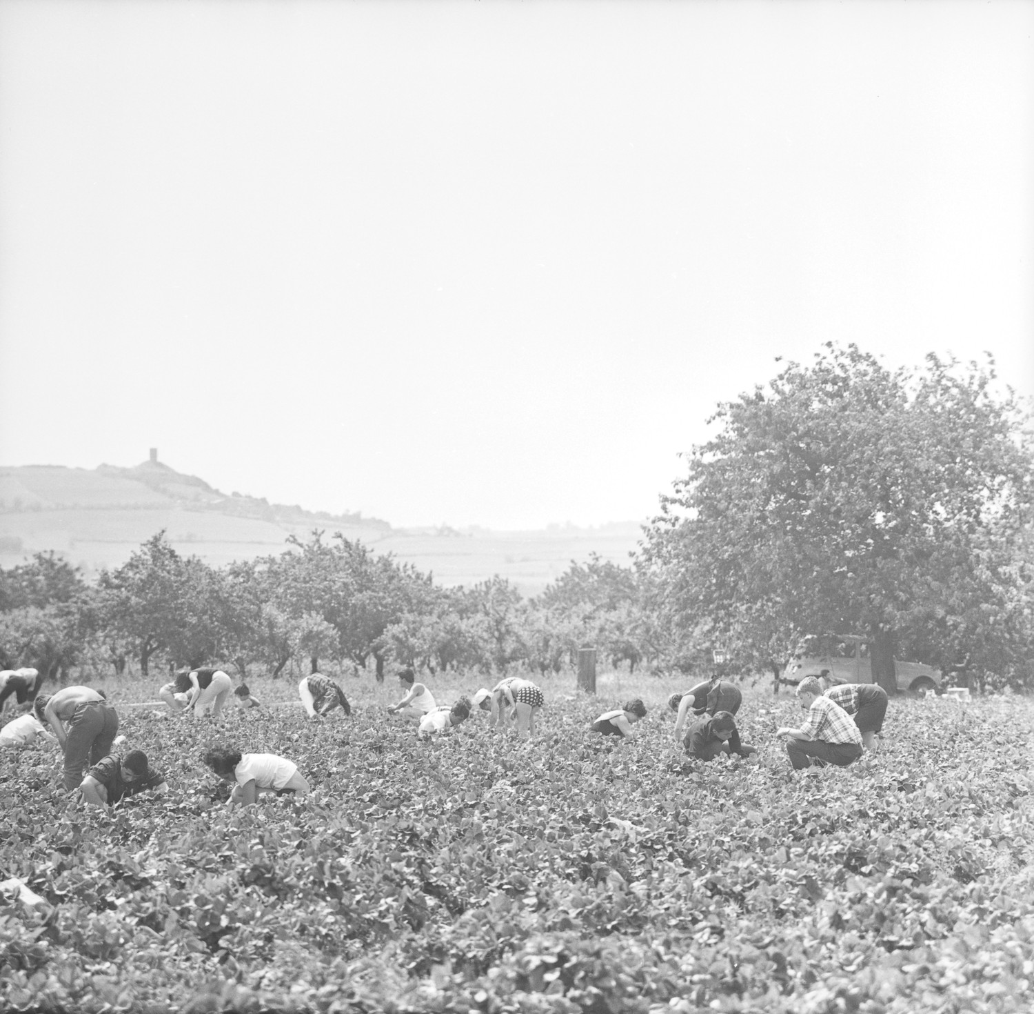 [Le monde paysan]