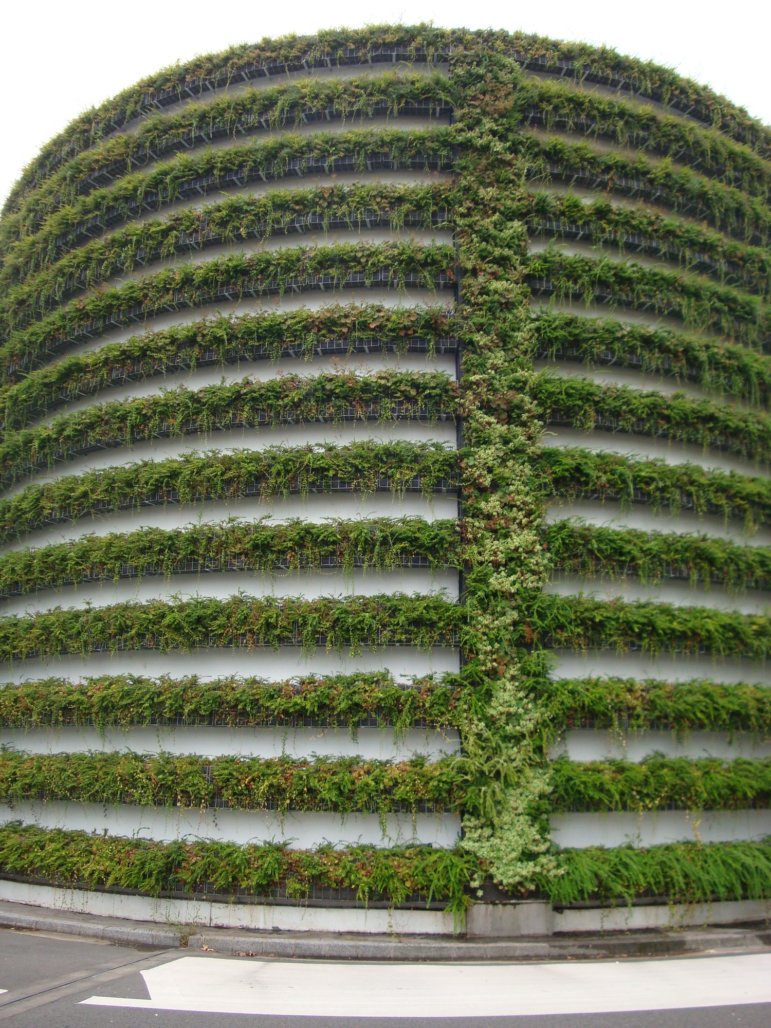 Mur végétal de Perrache