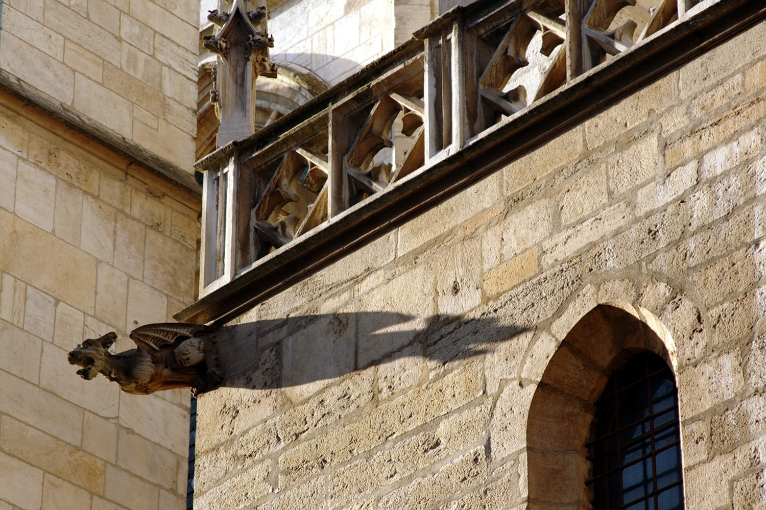 Gargouille sur l'Eglise Saint-Nizier