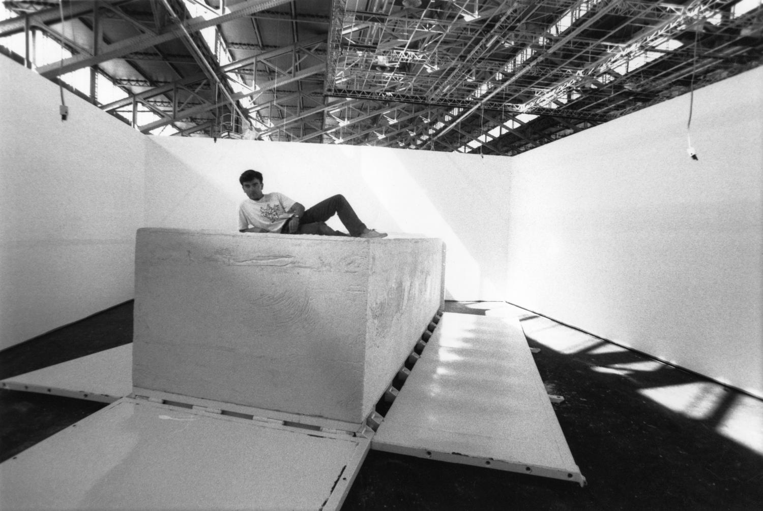 [1re Biennale d'art contemporain de Lyon (1991). Le savon de Marseille de Fabrice Hybert]