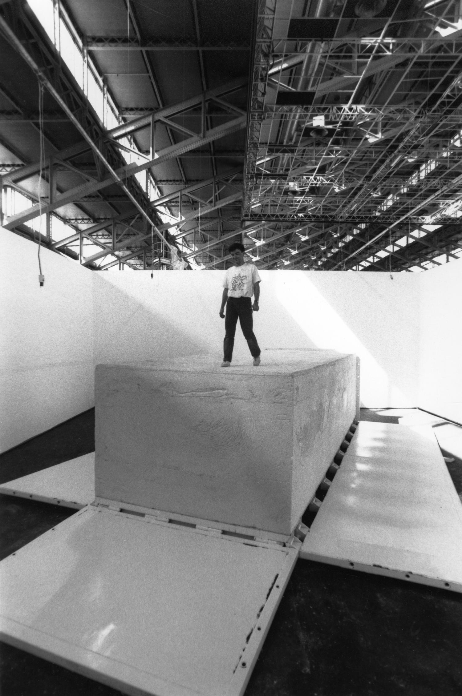 [1re Biennale d'art contemporain de Lyon (1991). Le savon de Marseille de Fabrice Hybert]