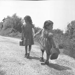 Sur le chemin de l'école