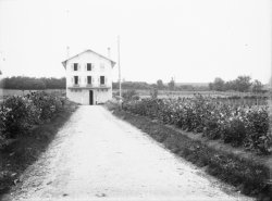 [Ecole d'agriculture de Cibeins (Misérieux, Ain)]