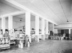 [Ecole d'agriculture de Cibeins (Misérieux, Ain)]