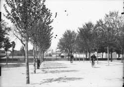 [Courses vélocipédiques de Villefranche 15 mai 1892]