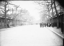 [Foire de Lyon : les stands]