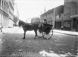 [Fiacre attelé à un cheval]