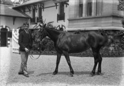 [Jeune homme tenant un cheval par la bride]