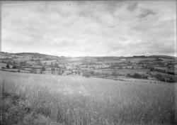 [Paysage de campagne dans le Haut-Beaujolais]