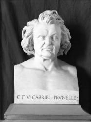 [Buste en marbre du docteur Gabriel Prunelle]