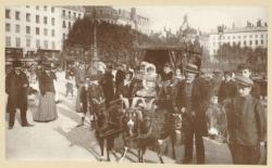 [La voiture aux chèvres, place Bellecour]