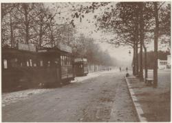 [Tramways sur l'avenue du Parc]