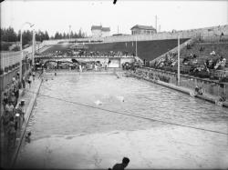 [La Piscine d'été de Cusset à Villeurbanne]