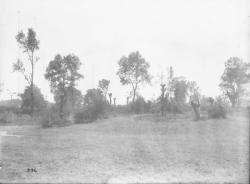 [Rive d'un bras mort du Rhône, du côté de la Feyssine, au lieu-dit "le Bois noir"]