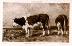 Musée de Lyon. - Troyon (Constant), Vaches au pâturage