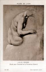 Musée de Lyon. - J. A. D. Ingres, Etude pour Raphaël et la Fornarina (dessin)